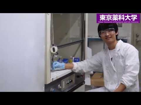 生命医科学科 東薬CampusClip（在学生インタビュー 生命科学部4年）