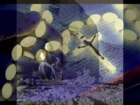 Kamelia Todorova Questions