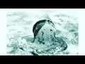 LSD Teaser 2 New Video