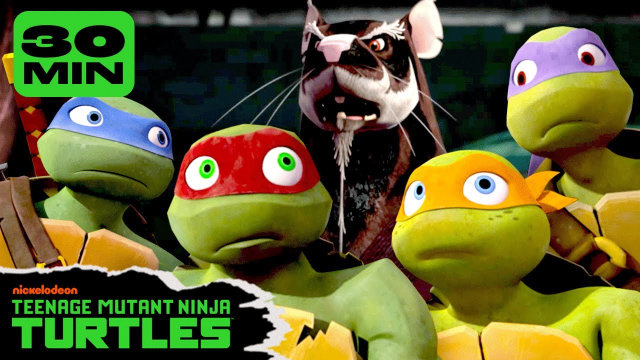 30 MINUTES of Splinter Teaching the Ninja Turtles LIFE Lessons! 🐀 | Teenage Mutant Ninja Turtles