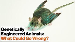 CRISPR's Gene Drive Could Revive Extinct Species–or Create New Ones | Jennifer Doudna
