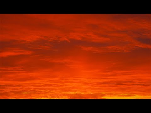 Tóy Tóy T-Rex & Nimsay - Quero (Lyrics)