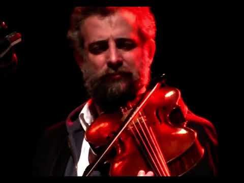 The iron stone - Robin Williamson