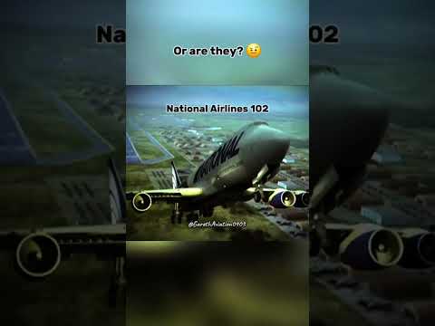 Just some random scenes? #funny #memes #viral #viralvideo #aviation #airplane #respect #plane