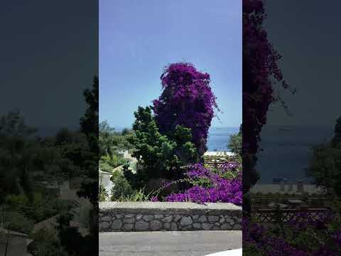 Thumbnail for Travel to Taormina from Messina - Sicily, Italy - Disney Fantasy-Disney Cruise Line@PapaBestDisney