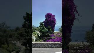 Travel to Taormina from Messina - Sicily, Italy - Disney Fantasy-Disney Cruise Line@PapaBestDisney