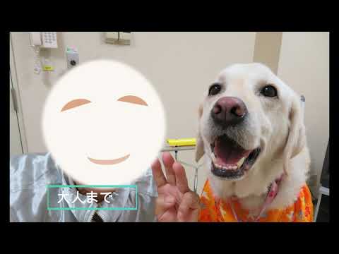 海洋生命科学科 MOKA～心からの感謝を込めて～