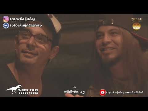 Totochakales  and GATO.ProArt