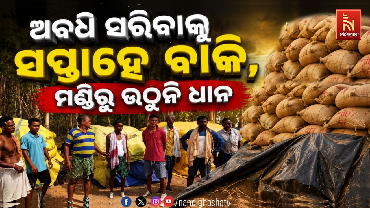 🔴Live |  ଅବଧି ସରିବାକୁ ସପ୍ତାହେ ବାକି, ମଣ୍ଡିରୁ ଉଠୁନି ଧାନ | Nandigh
