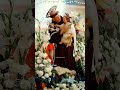 Marathin Kelaigal Asaivilum St Anthony Tamil Song WhatsApp Status Shorts Tamilchristiansongs