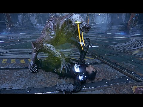 Zealot VS Nurgle Heretics｜Warhammer 40k Darktide