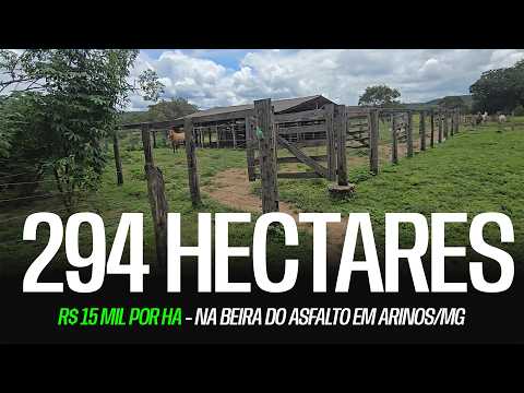 FAZENDA À VENDA NA BEIRA DO ASFALTO EM ARINOS/MG – 294 HECTARES | R$ 15.000 POR HECTARE