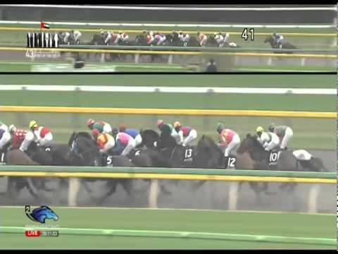 2014.11.30 World Super Jockeys Series (WSJS) 3rd leg