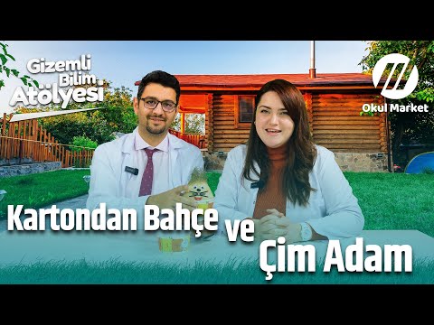 Yeşil Yaşam