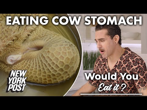 It takes all 'tripes': Would you eat cow stomach? | Would You Eat It? | New York Post