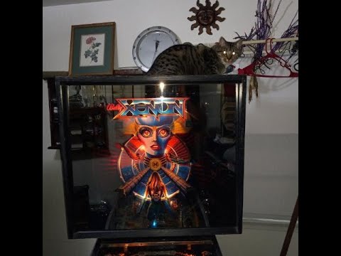 BALLYS "XENON" PINBALL MACHINE OCTOBER 28, 2021.