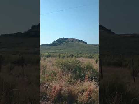 Camino entre pueblo Quintana y pueblo Pepe Núñez , dpto. Salto 🇺🇾 . Videitos cultura uruguaya .