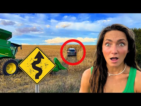 I Found An Abandoned Car CRASHED In My Field