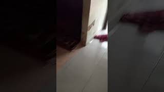 Download lagu 1 April 2025 mp3