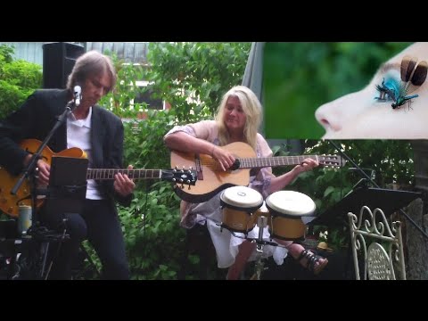 Sanna Blue - Sensitive Kind