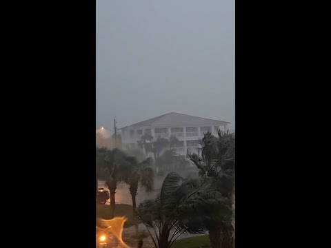 Trees bend under extreme winds from Hurricane Isaias