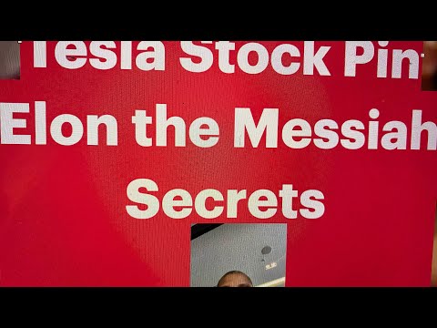 Tesla Pin Elon The Messiah? 2021 (a416)