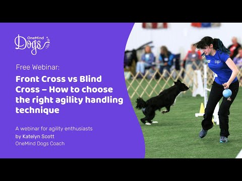 FREE Webinar: Front cross vs Blind cross: how to choose the right agility handling technique