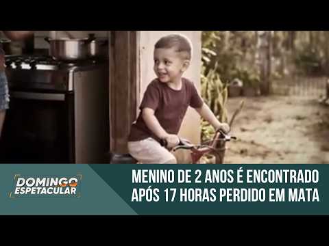 Menino de 2 anos é encontrado após 17 horas perdido em mata de São Paulo