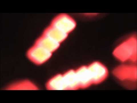 Mari Pokinen - Otsib ja lõugab (Bone Bootleg) [FREE DOWNLOAD]