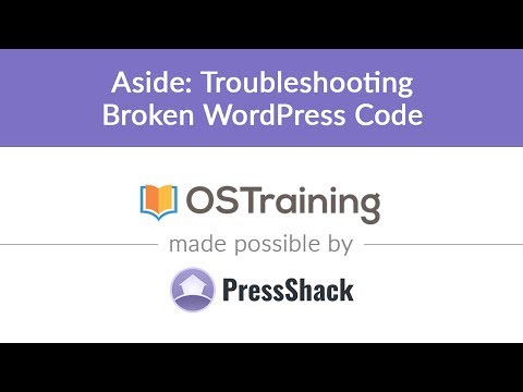 WordPress Development Lesson 21 Aside TroubleShooting Broken WordPress Code