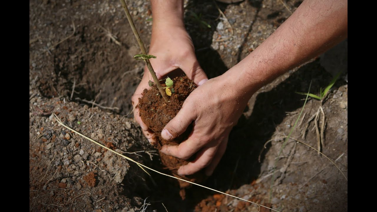 No Correr das Águas: Recuperação de Áreas Degradadas - Episódio 5