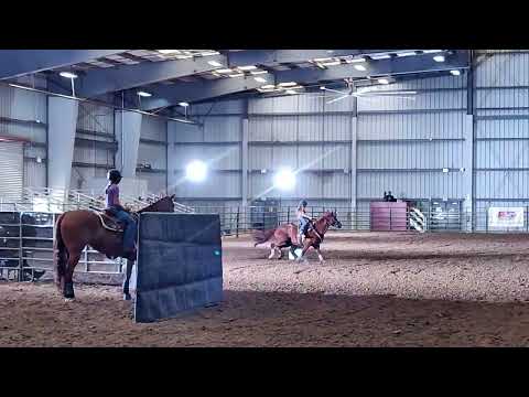 Logann and Bobs Cold Cash, 1st in 1d youth, 8/2024, Classy Ladies barrel race