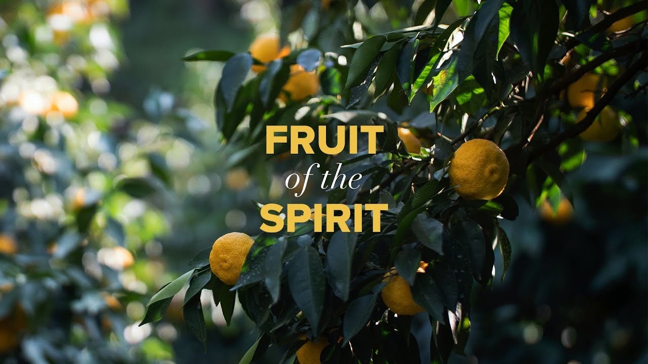Spirit, Self and the Control | Von Wellington