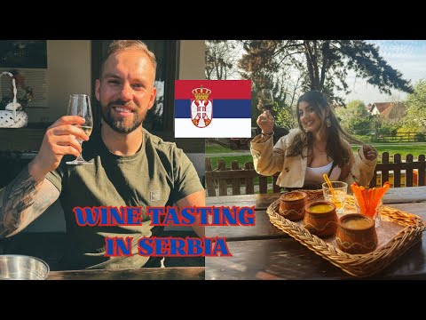 Is This Serbia's Prettiest Town? Wine and Honey Tasting in Sremski Karlovci 🇷🇸 | Jack On The Map