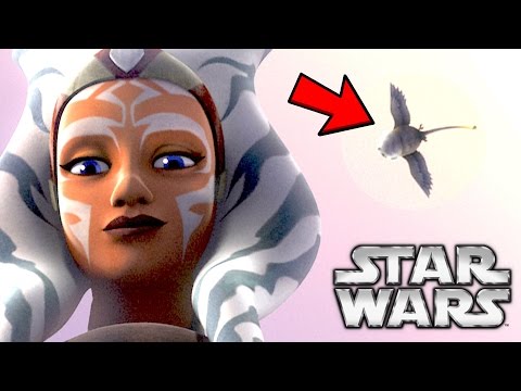 Star Wars Rebels: The Hidden Truth Behind Ahsoka & the Convor Explained  [Dash Star]