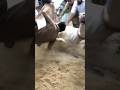 Eid Ul Adha Mubarak ️ Viral Shorts Sameerkibaatain