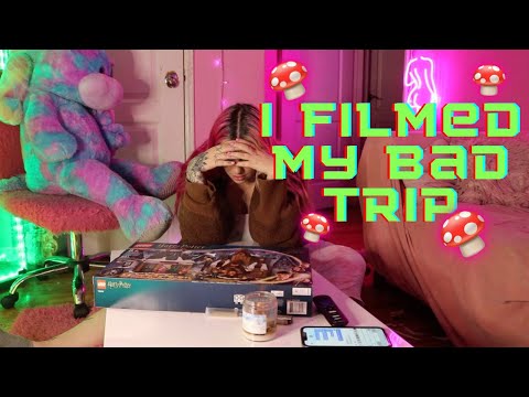 i had a bad 🍄 trip (and i filmed it)