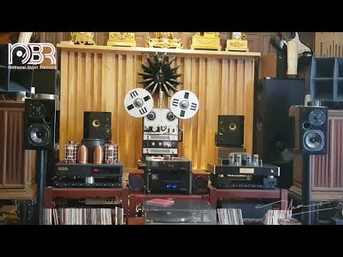 Best Audiophile Choice - You will be surprised at not knowing what speakers are playing - NBR Music