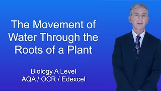 A Level Biology Revision "Movement of Water Through the Roots of a Plant"