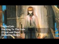 Steins;Gate-Hacking To The Gate (Drum and Bass ...