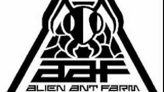 Sleep Walker Acoustic Alien Ant Farm