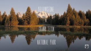 Yellowstone & Grand Teton National Park