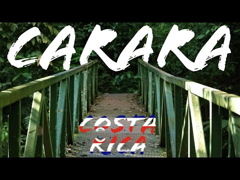Preview of the Carara National Park tour video
