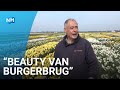 Kleurexplosie in bloemenvelden: "Dankzij de kou staat alles tegelijk in bloei"