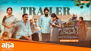 Trailer Preview Image