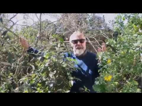 download lagu mp3 mp4 Daniel Dezeuze, download lagu Daniel Dezeuze gratis, unduh video klip Daniel Dezeuze