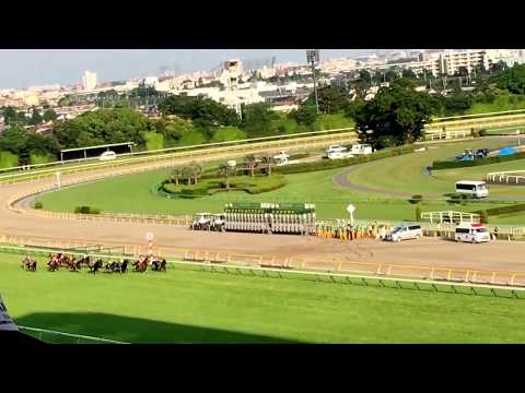 第131回目黒記念最後の直線