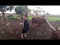 NDAMA JIGUSHILAGA UJUMBE WA NG OMBE ZA NDAMA MPYA 2026 BY SHULE MSABAZAJI