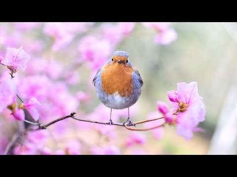 Bom dia! Senhor acalma meu coração agitado diante das dificuldades. ❤️🙏