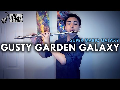Gusty Garden Galaxy (from Super Mario Galaxy) | ft. Thomas Law, flute | Purple Comet Orchestra